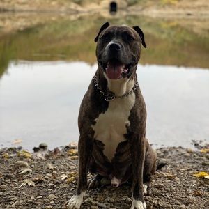 Meet your Posher, Corey